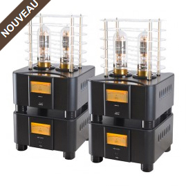 Amplificateur PUSH PULL 212WE 150W