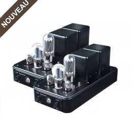 Amplificateur MD-805  Bloc mono 40W classe A